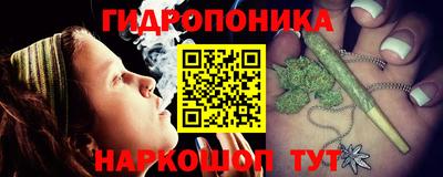 шишки Жуковский