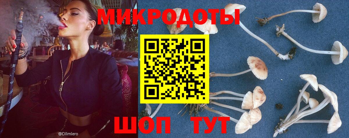 Галлюциногенные грибы прущие грибы  Вход с VPN  Псилоцибиновые грибы ЛСД  Лабинск 
