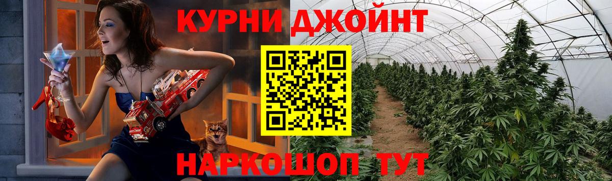 Бошки марихуана OG Kush Лабинск